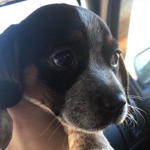 Meet your Posher, Brianna